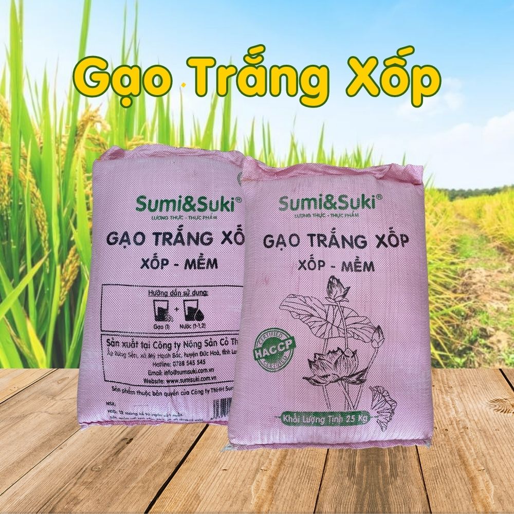 Gạo Trắng Xốp - GTX10