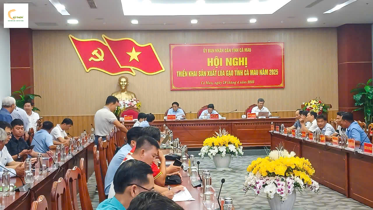 Cỏ Thơm tham dự 